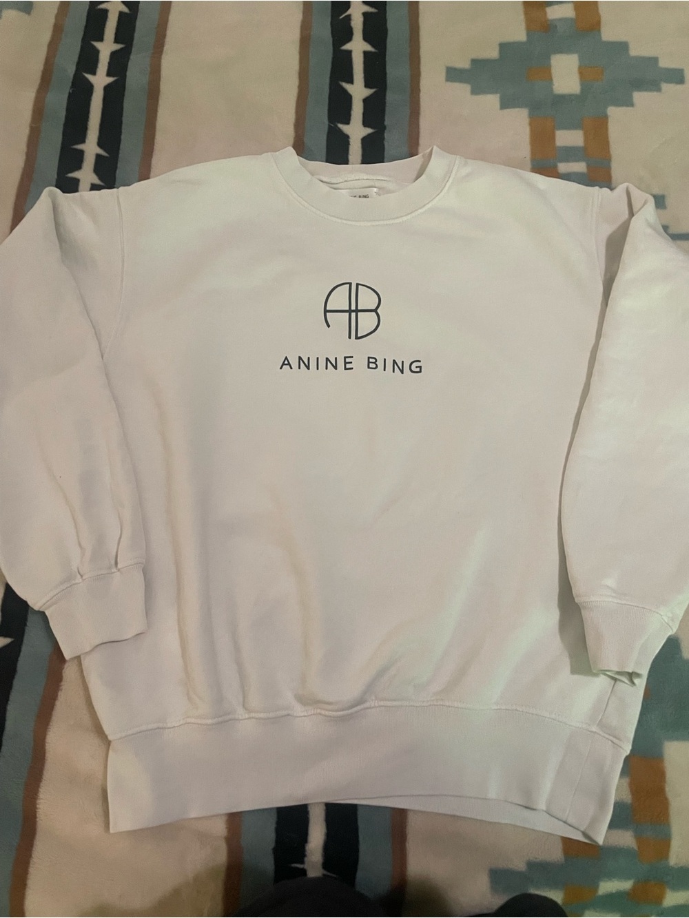 Anine bing sweatshirt
